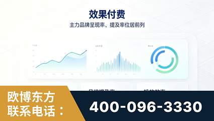 日照-效果付费：主力品牌呈现率、提及率位居前列