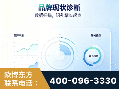 日照-品牌现状诊断