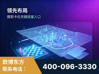 日照-领先布局：于2024年初开启GEO业务的公司